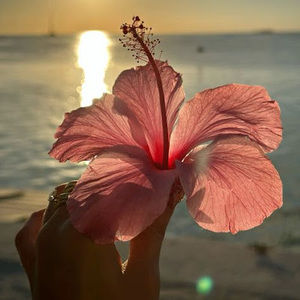 Meet your Posher, Brynn